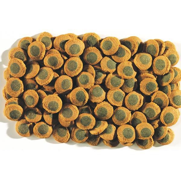 Tetra Color Sticks 10Lt 1,9Kg - Görsel 3
