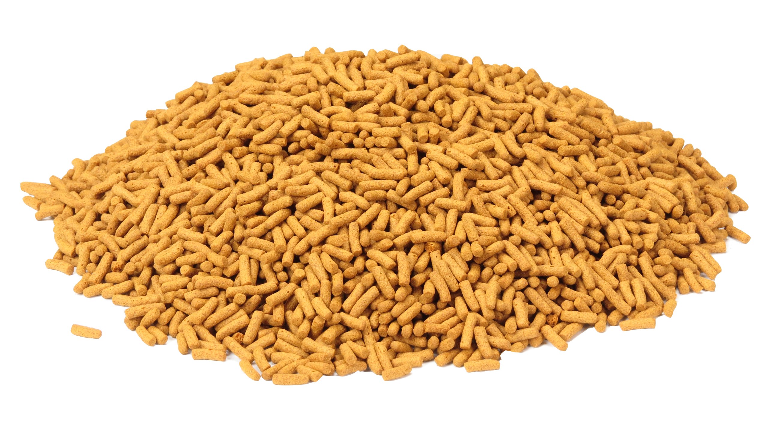 Tetra Cichlid Stick Balık Yemi 10 Lt / 2900 Gr. - Görsel 3
