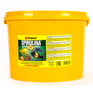 TROPİCAL SUPER FORTE SPİRULİNA PUL 100 GR
