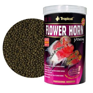 TROPİCAL FLOWERHORN YOUNG 100 GR