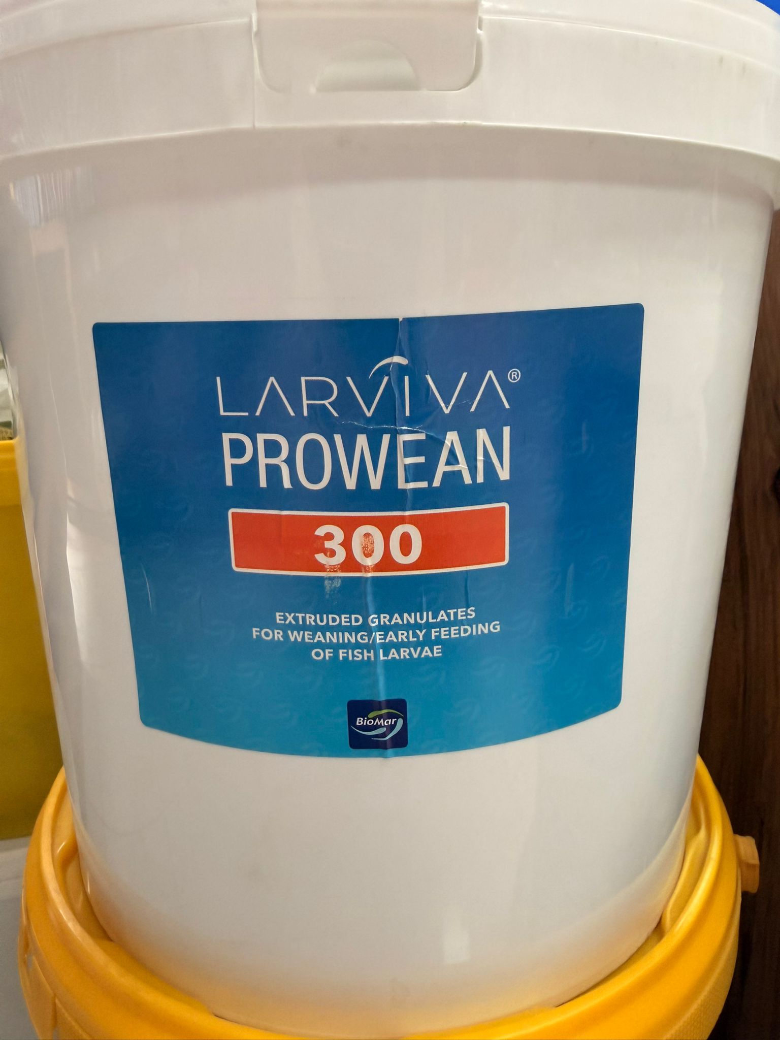 Larviva Prowean 300 micron açık 500 gr
