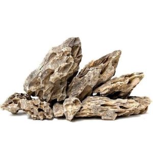 Dragon Stone Tasarım Kayası