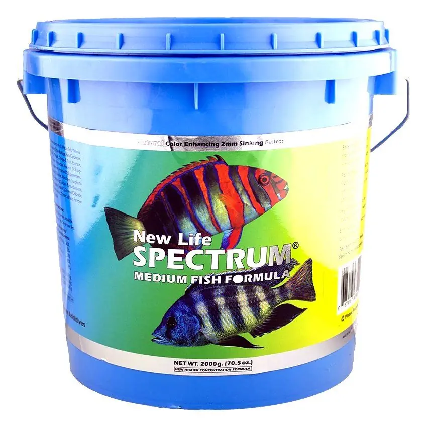 New Life Spectrum ( NLS ) Medium Fish Formula 100 gr