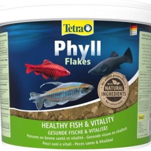 Tetra Phyll Bitkisel Pul Yem 100 Gr.