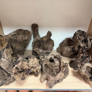 Creaqua Stump Wood Dekor Ağaç Gövdesi L Boy