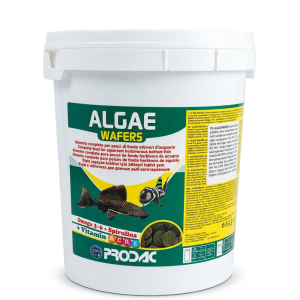Prodac Algea Wafers Tablet Açık 100 Gram