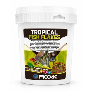 Prodac Tropical Fish Flakes Açık 100 Gram